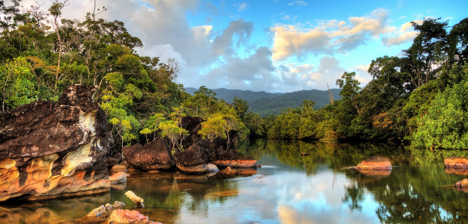 Parc National de Masoala Madagascar