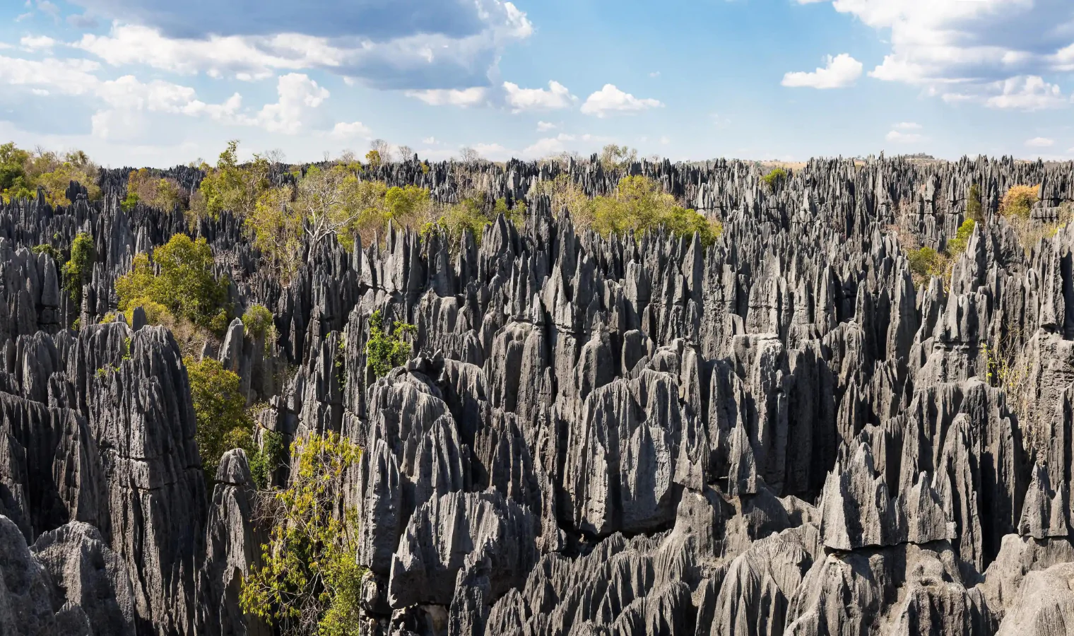 Tsingy of Madagascar