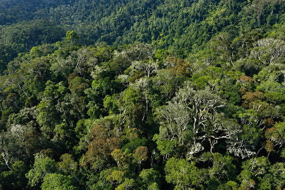 Andasibe Madagascar
