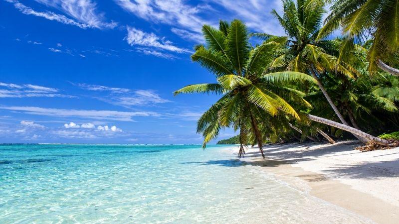 White-sand tropical beach and palm trees in Madagascar