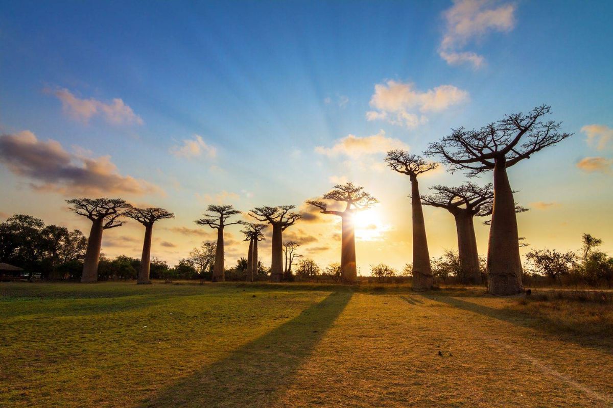 Western Madagascar
